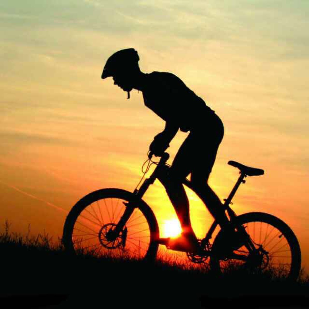 雷军做生活博主红过董宇辉