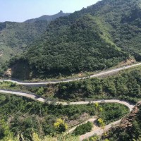 头像图片