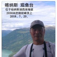 头像图片