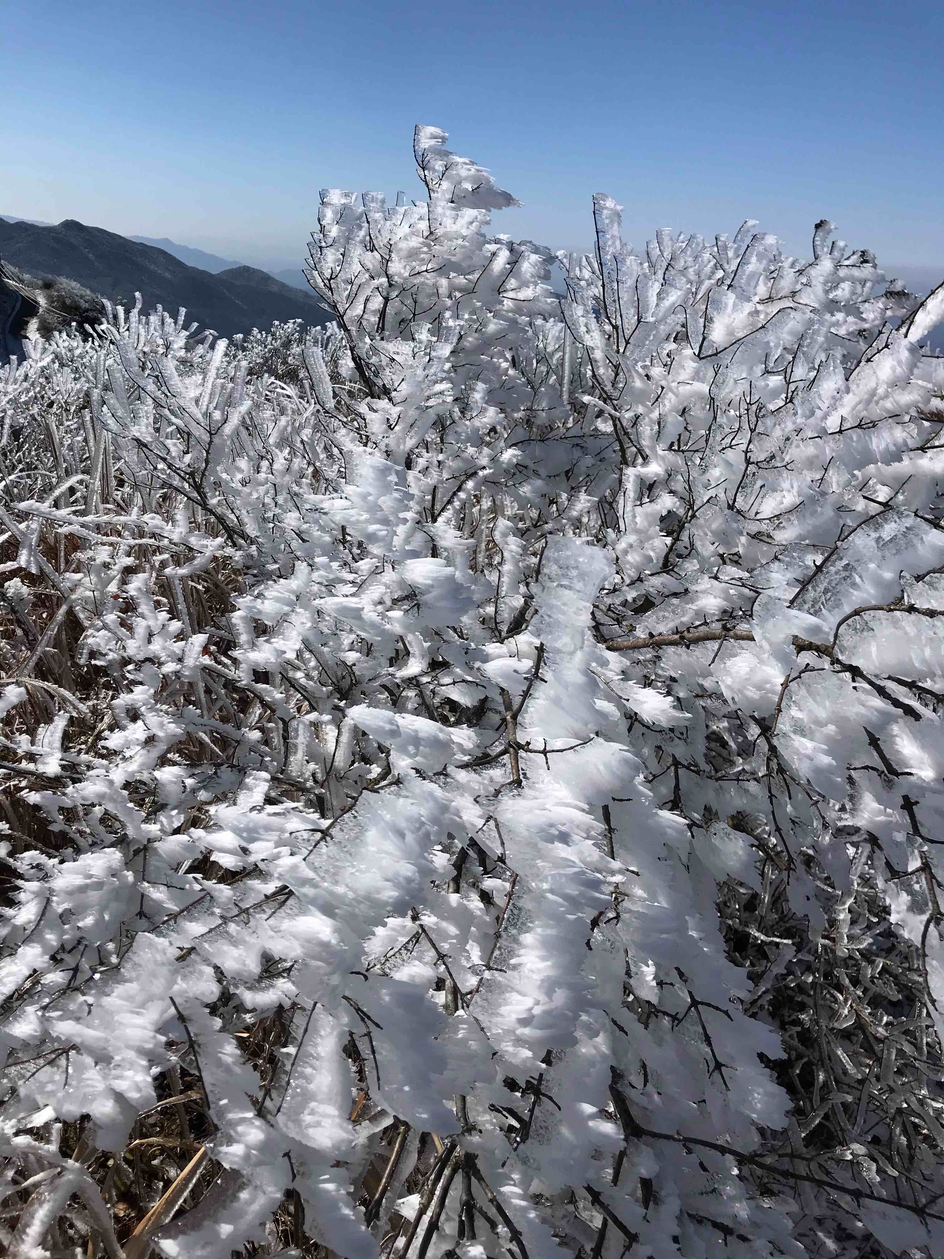 三明市区最高峰锣䥽顶看雪景