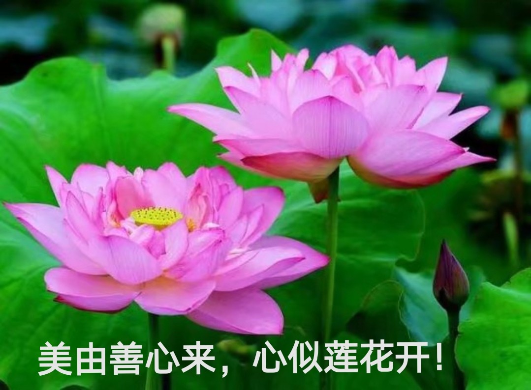 秋冬季骑车几大注意事项