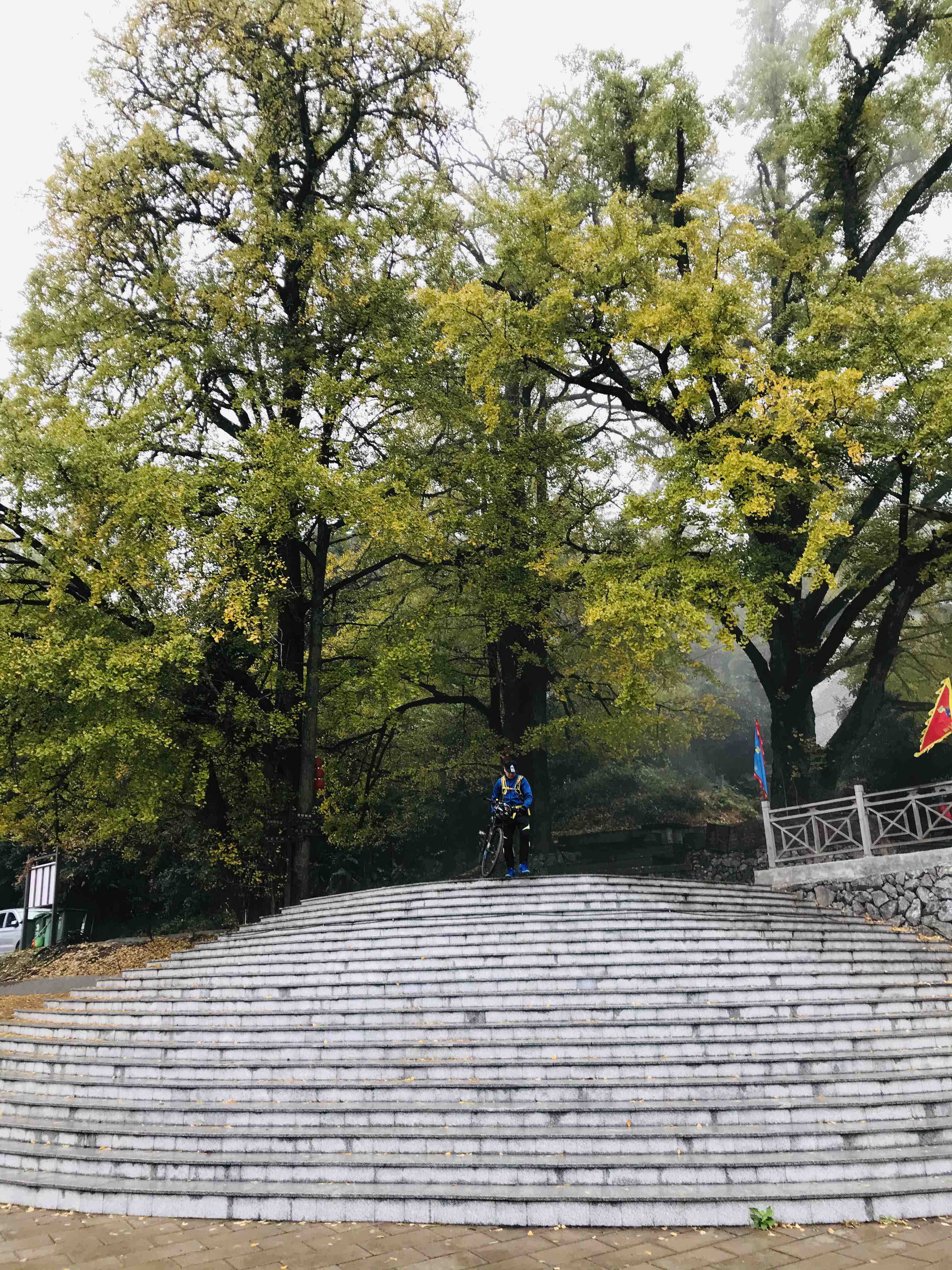 觀天台山飛來石,賞上坪頭銀杏.