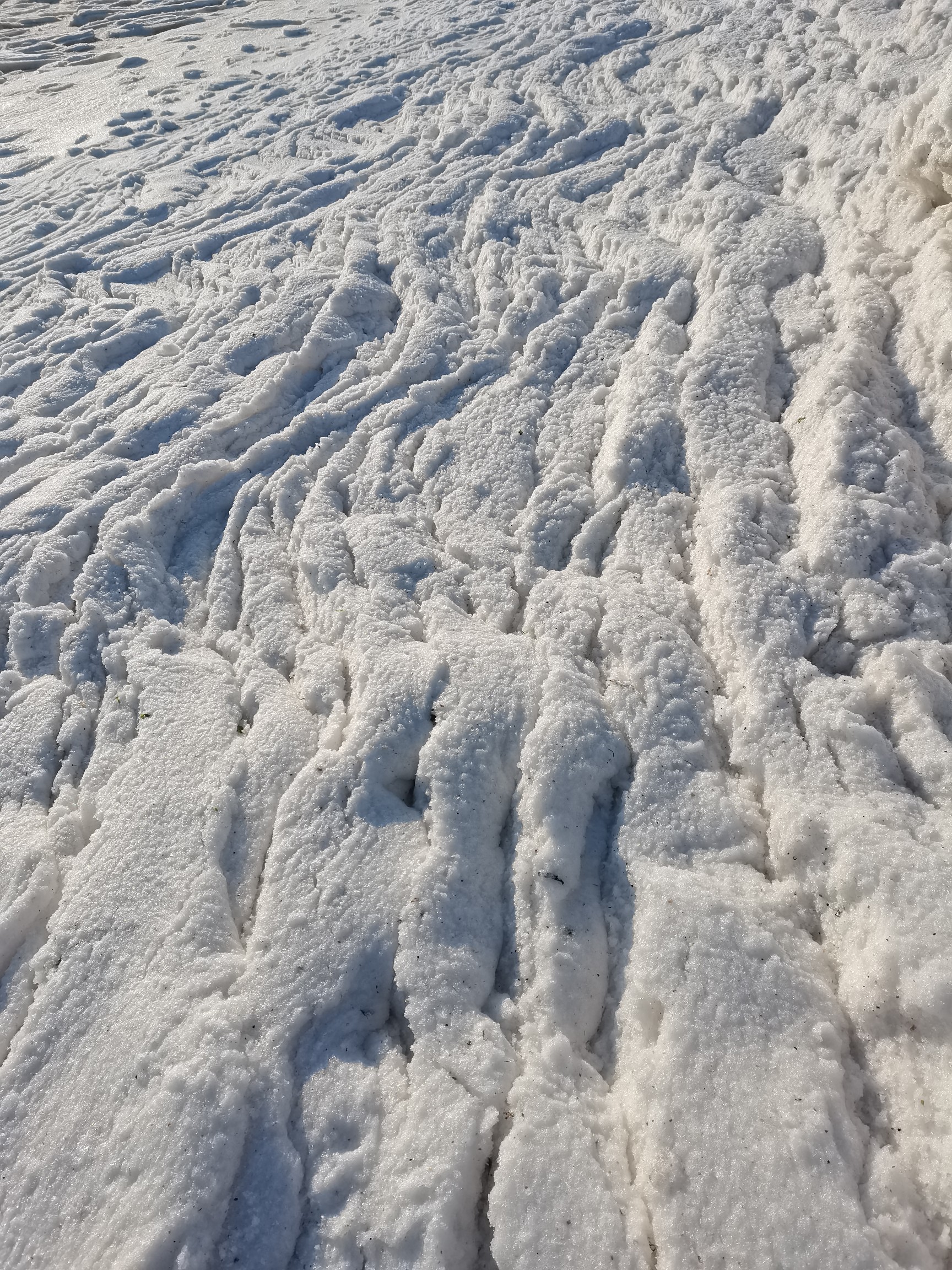 寒風掠過一片白浪花捲起千堆雪盡力了,無悔,不問結果.寧遠58