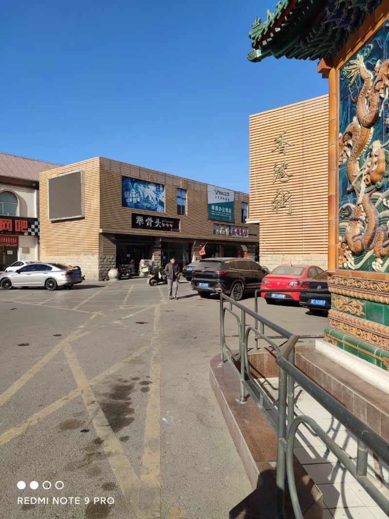 大邱庄的香港街火烈鸟国际酒店,位与天津市,团泊洼光合谷湿地.