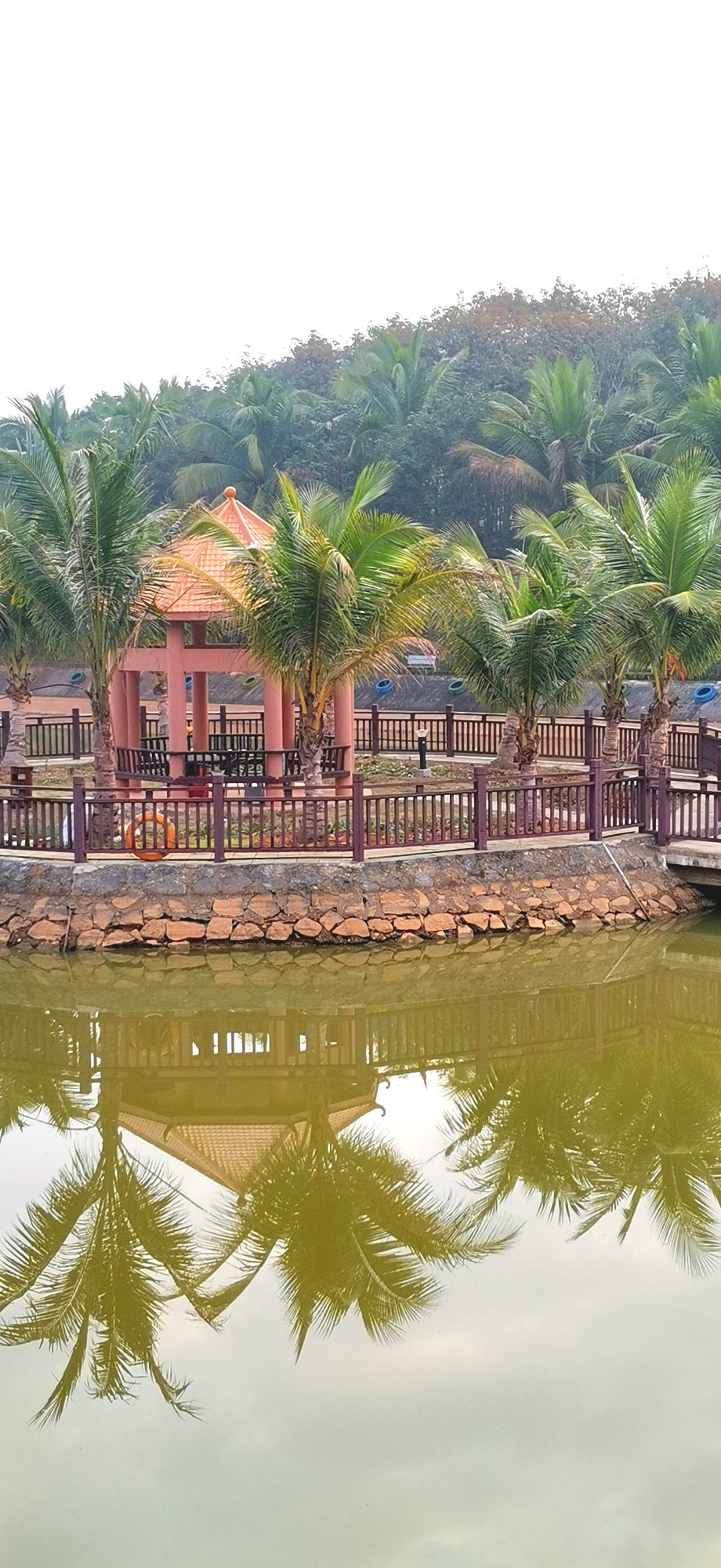 骑游美丽乡村澄迈县大丰镇才存村骑行日记20210130