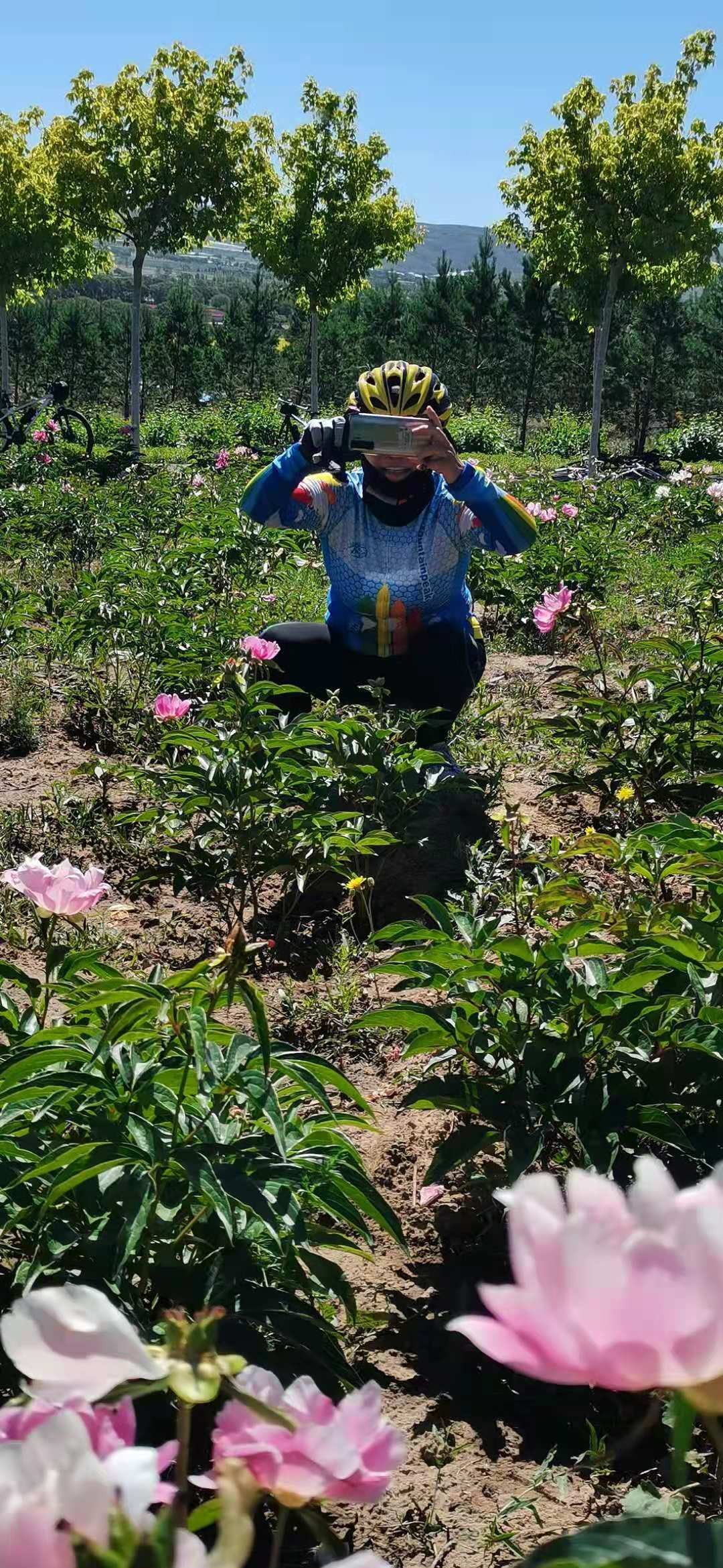 隆莊古鎮賞芍藥花葉葉聯芳相約豐鎮品美食心心相印一起騎行在路上騎行