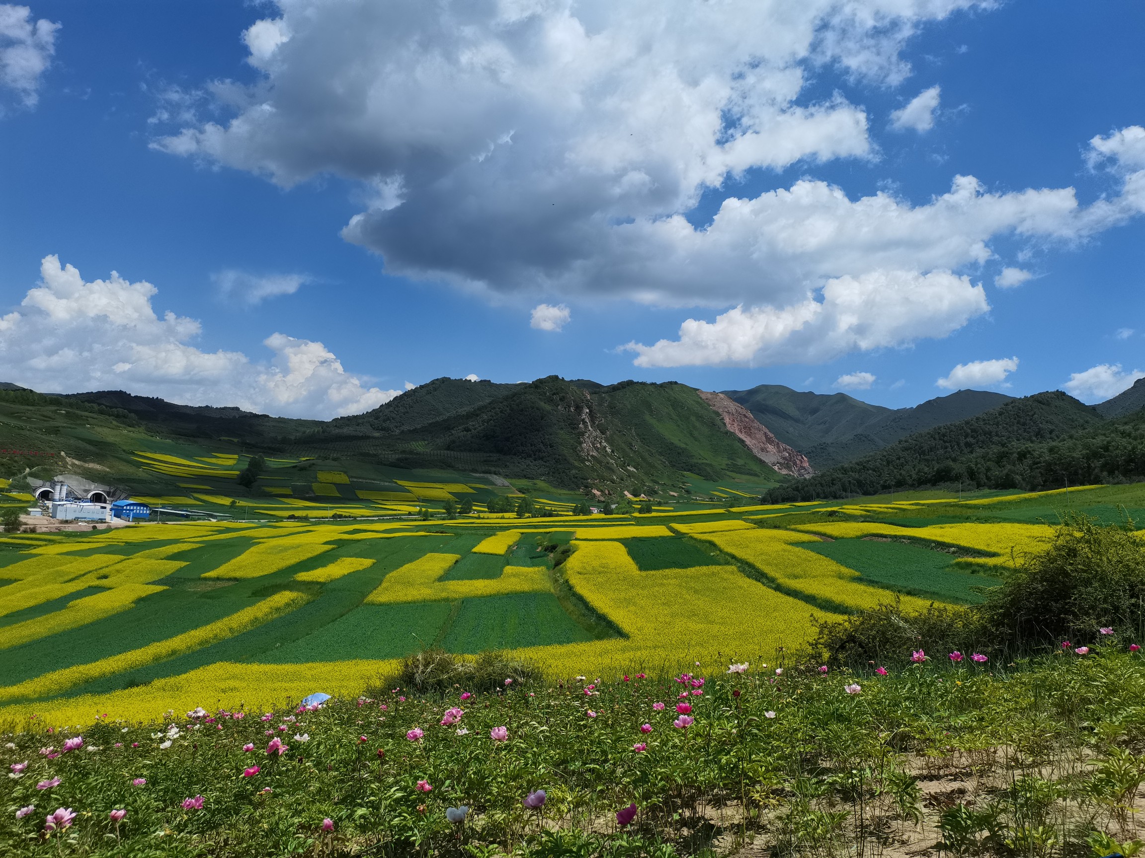 红柳车队骑行大通