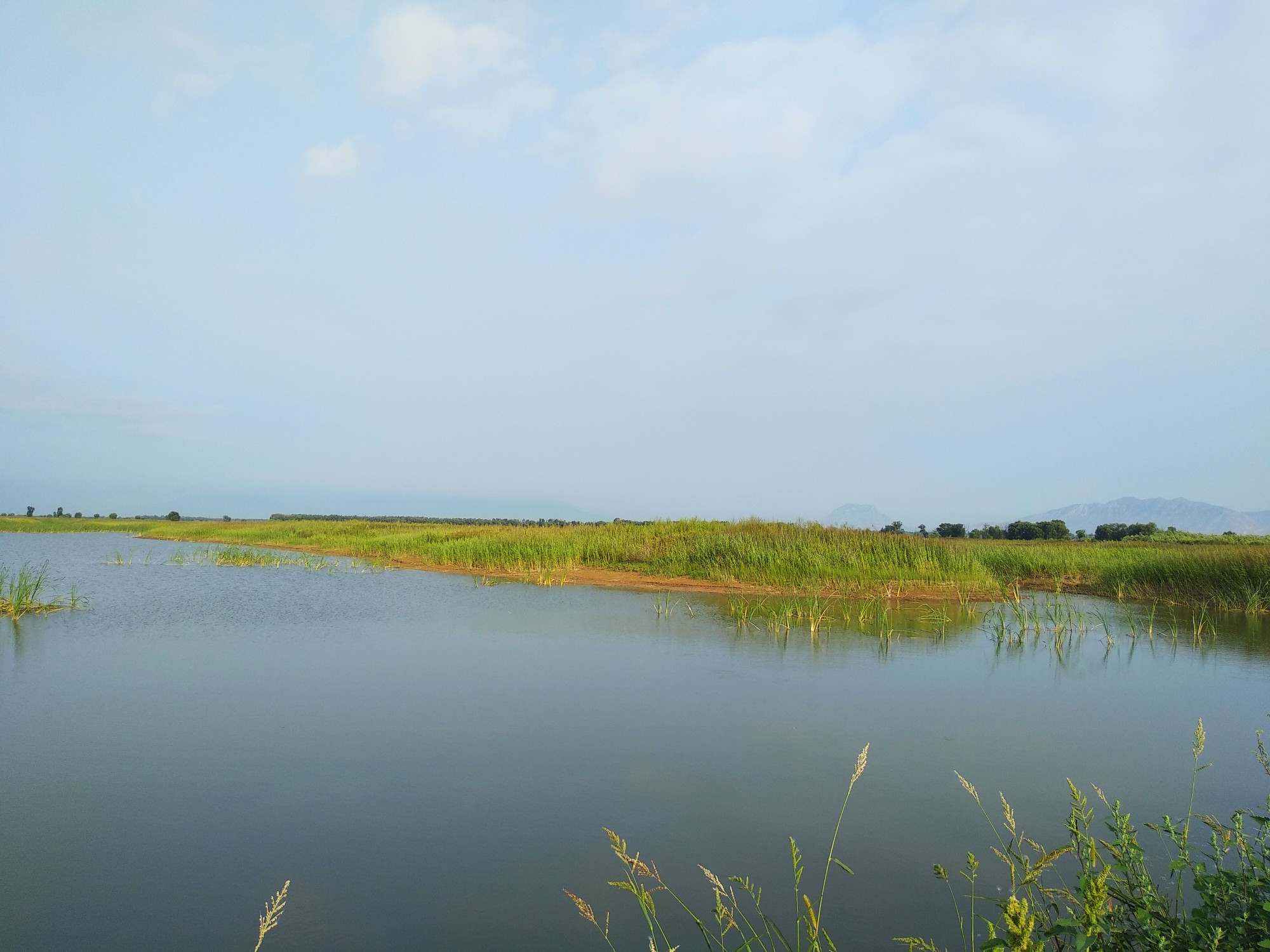春江水暖鸭先知,春天是去延庆野鸭湖的好机会.