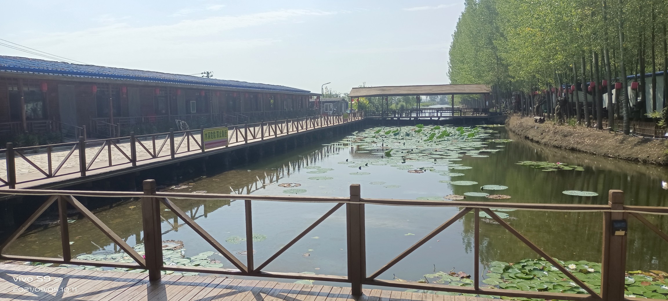 骑行盘锦疙瘩楼水库