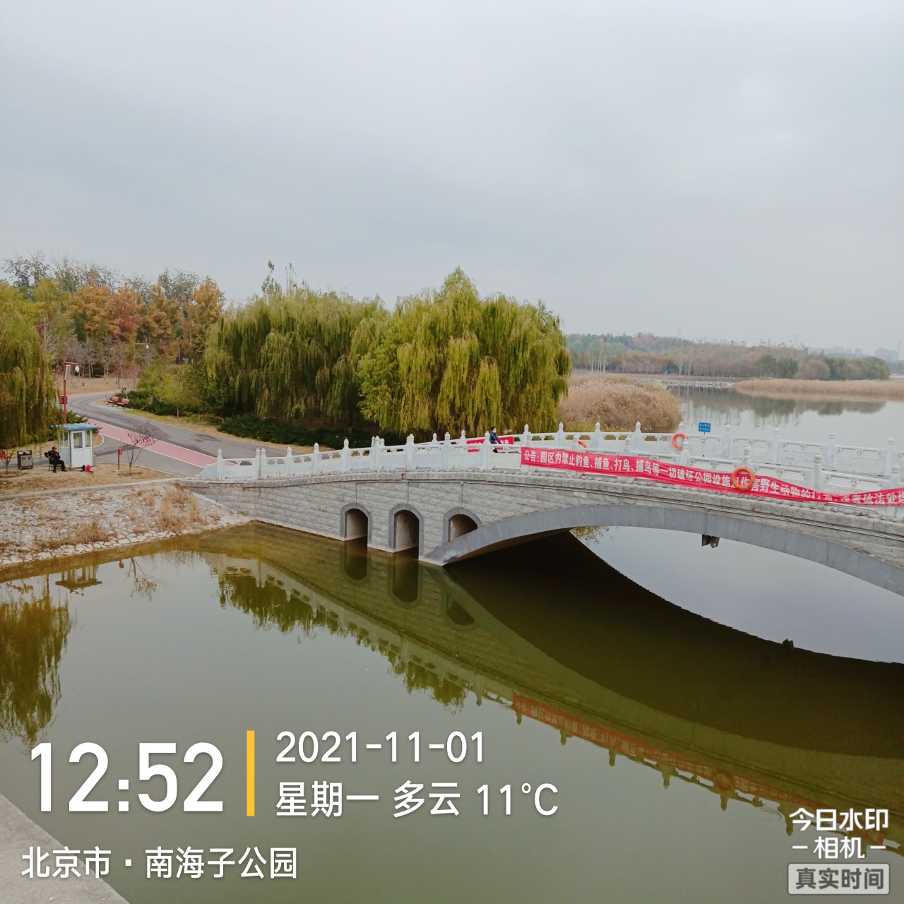 南海子公園西門拍照!南海子公園南門拍照!微微小樹片片紅葉!非常漂亮!