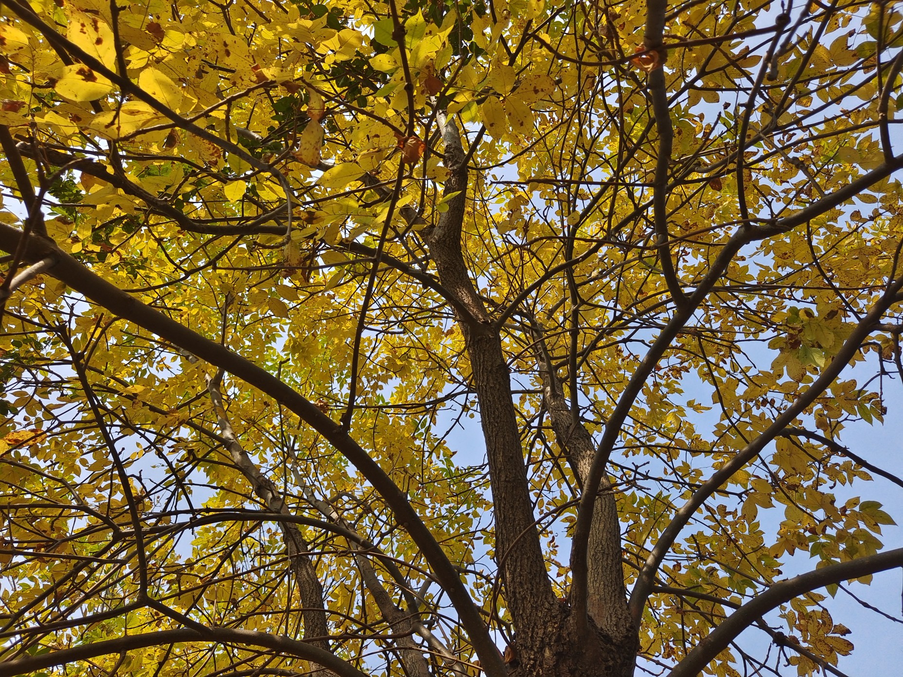 超度秋天的简单介绍